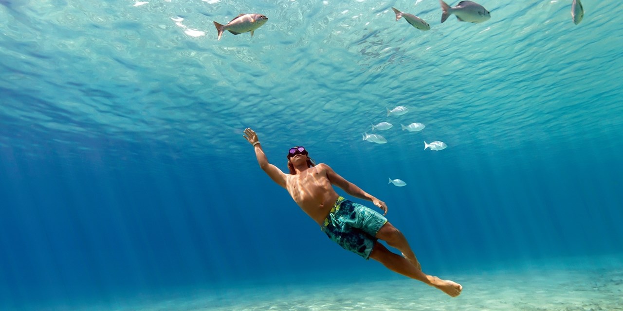 Explore the diverse marine life in Key West.