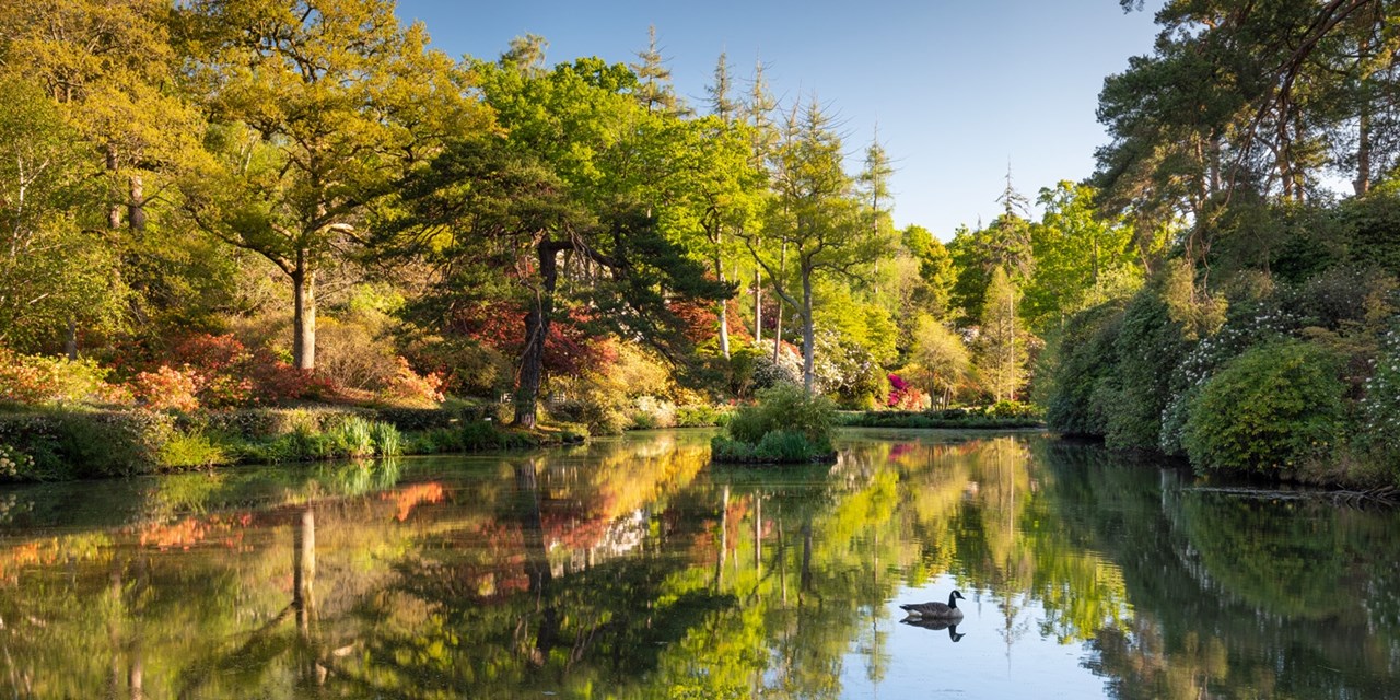 The gardens are home to an abundance of wildlife