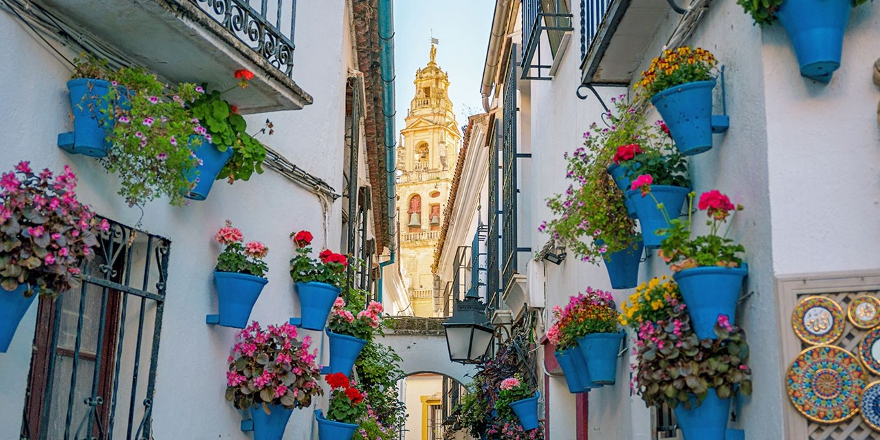Stroll through Cordoba's charming streets