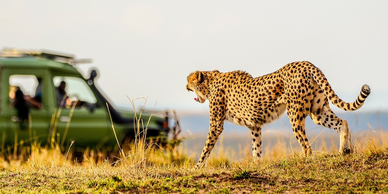 Popular trips across the globe
