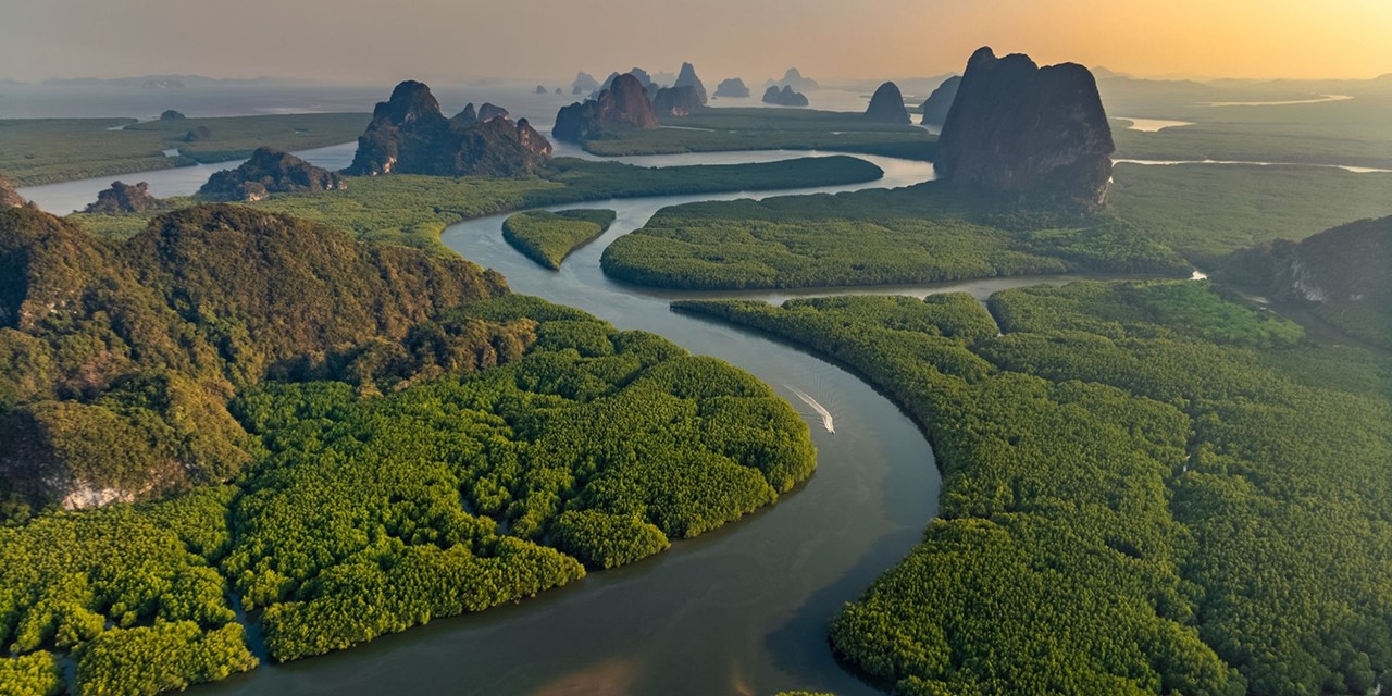 The mangrove forest of Phang-Nga, where Khao Lak is located