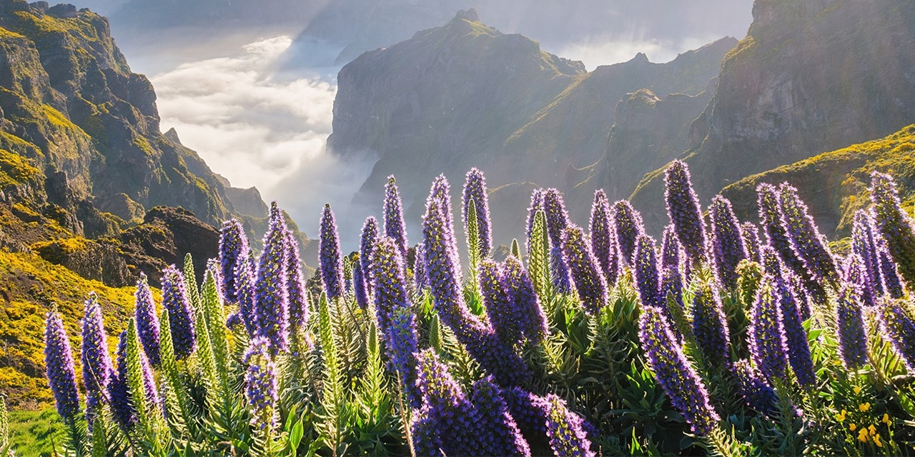 A view from the Pico do Arieiro trail