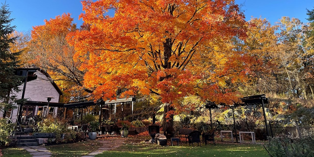 Elegant farmhouse near Quebec's Lac Brome w/perks