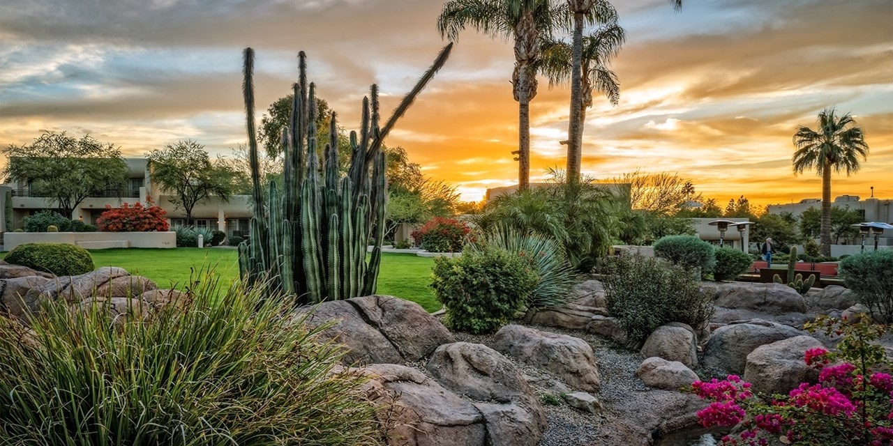 Remember to stop and take in the desert's natural beauty