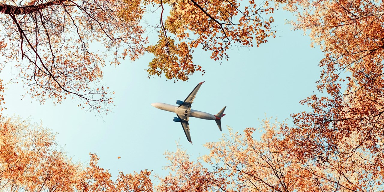 Ne laisser pas passer ces billets d'avion à prix intéressants pour octobre.