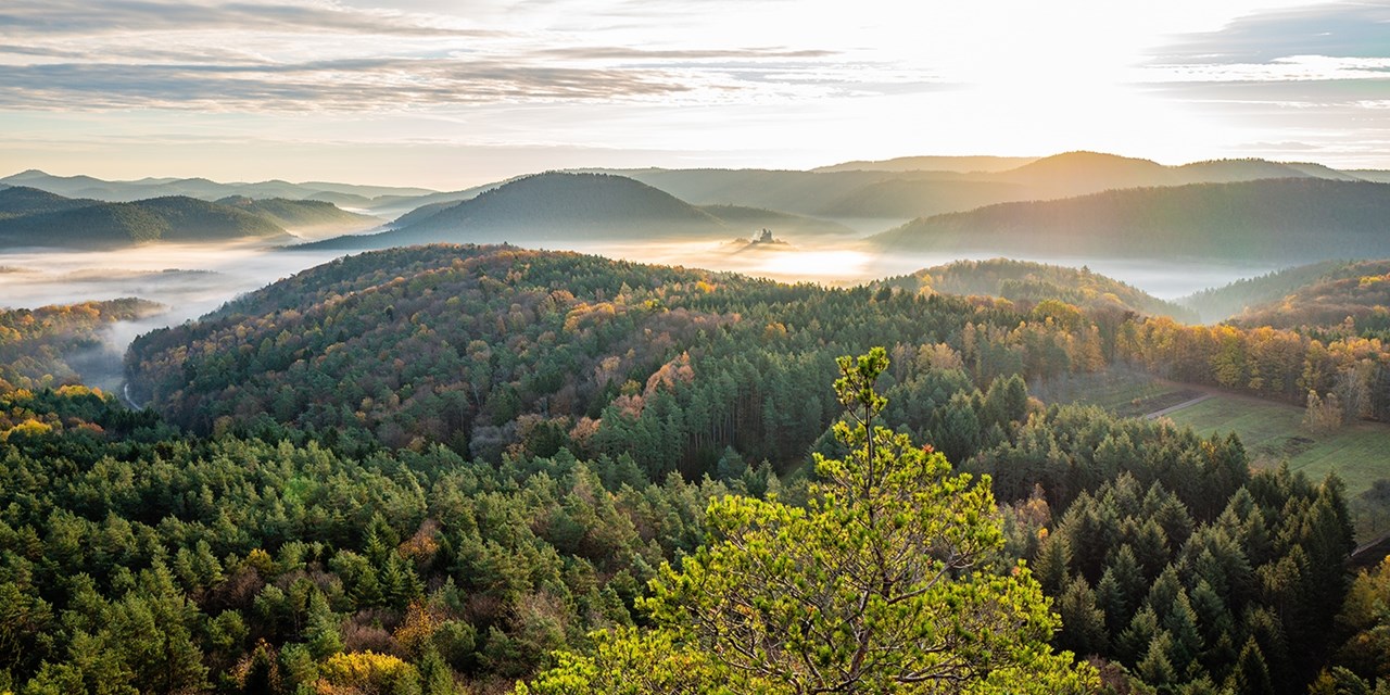 Die Umgebung eignet sich für Wanderungen und Radtouren | Travelzoo