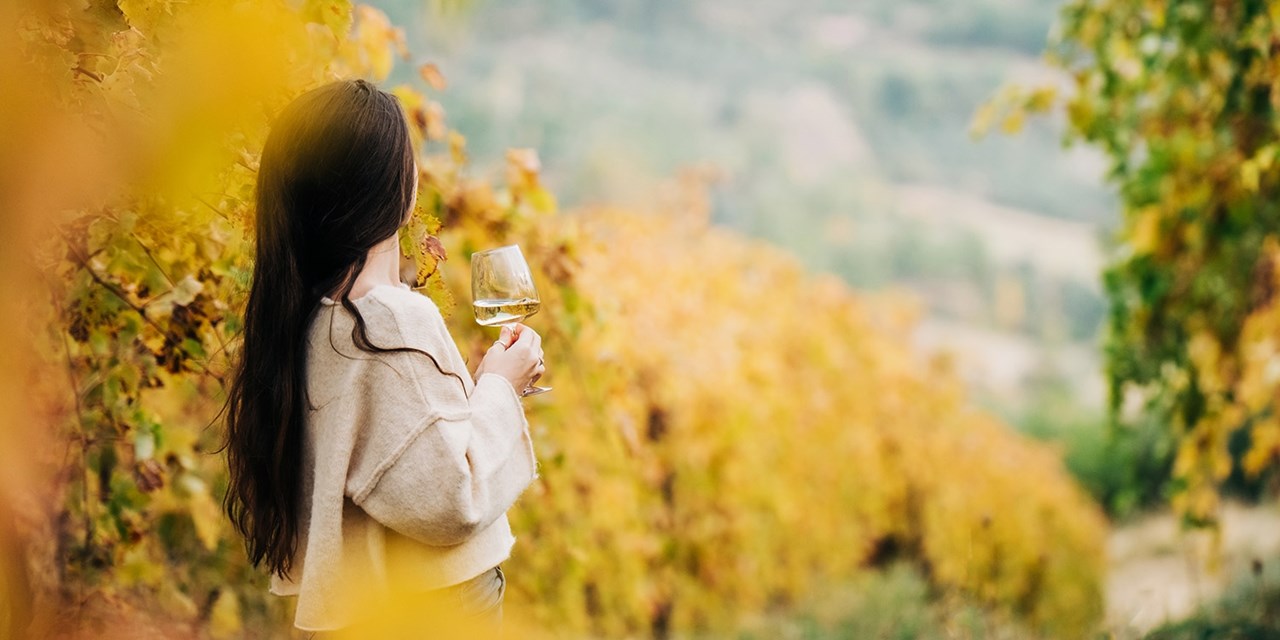 Burgundy is one of the most revered wine regions in the world
