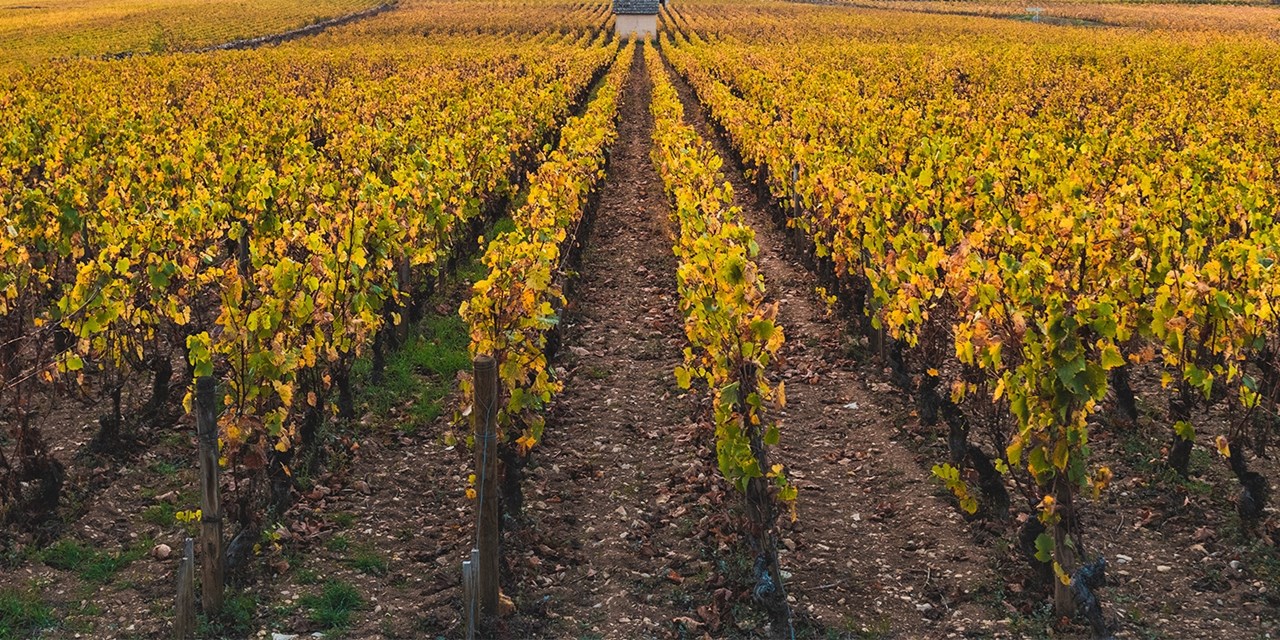 759€ -- Bourgogne 5* : 3j en demi-pension, au lieu de 1272€