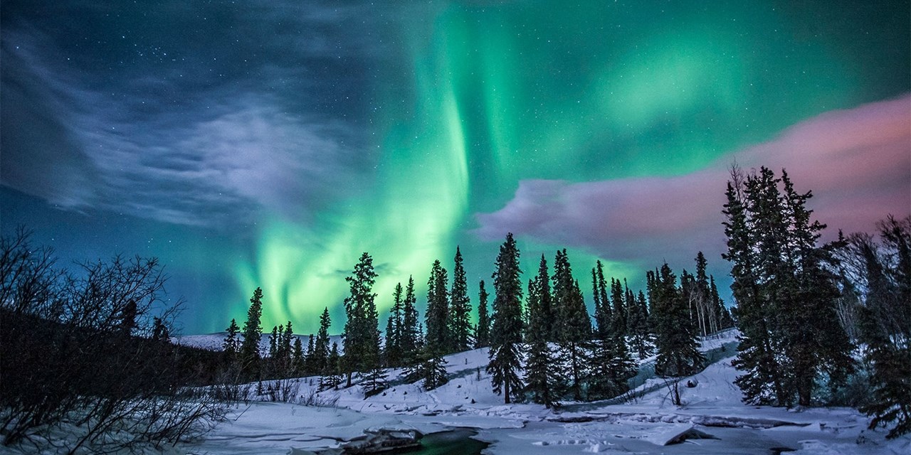 $999 -- Yukon northern lights & wildlife adventure