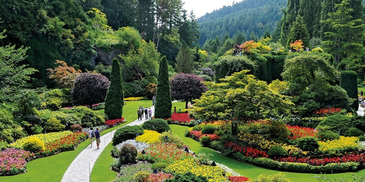 Victoria's Butchart Gardens in full bloom