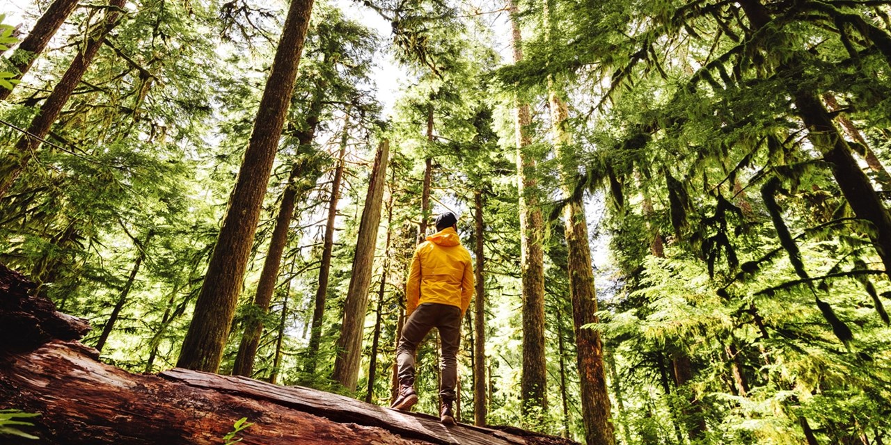 Enjoy a hike in the area
