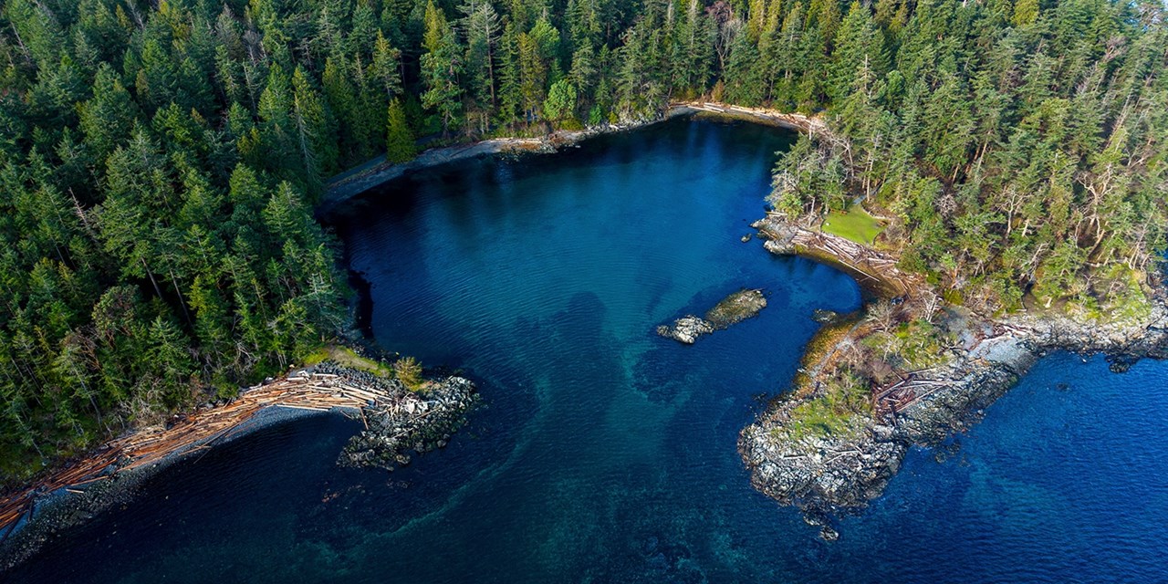Fall is a lovely time to experience Vancouver Island