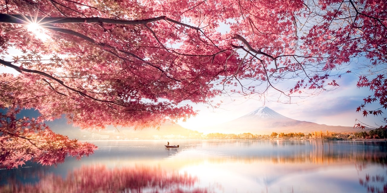 Mt. Fuji vantage points promises cherry blossoms and misty mountaintops 