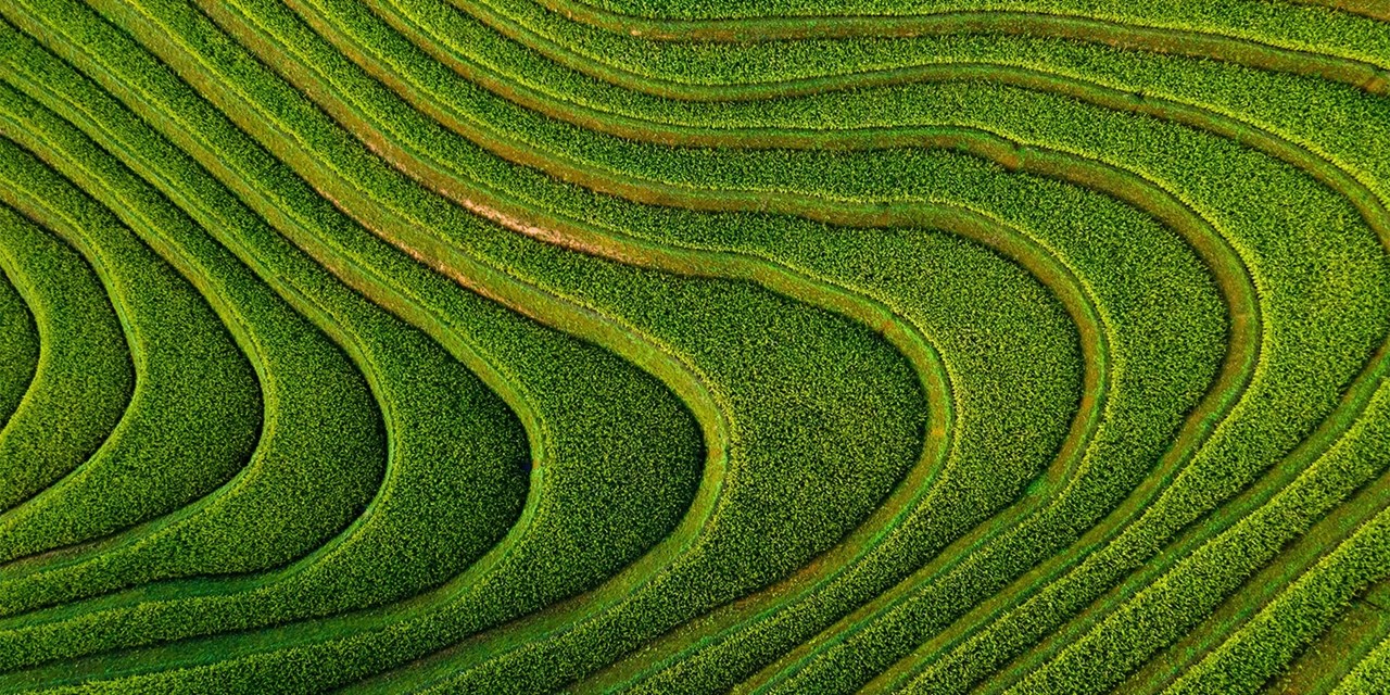 Explore the rice terraces in Bali