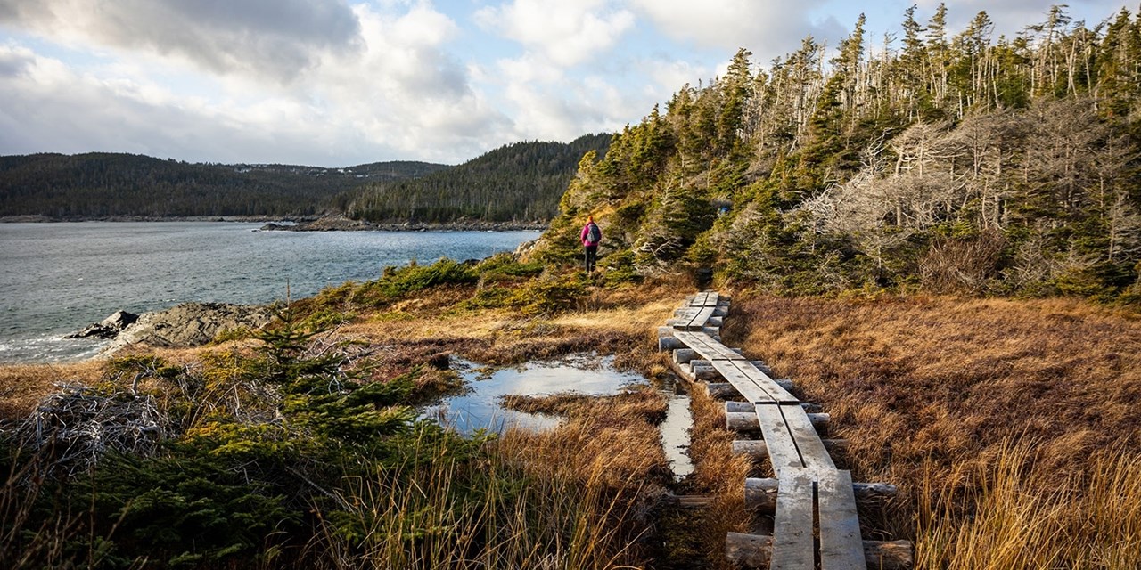 Admire the dramatic coastline and friendly towns
