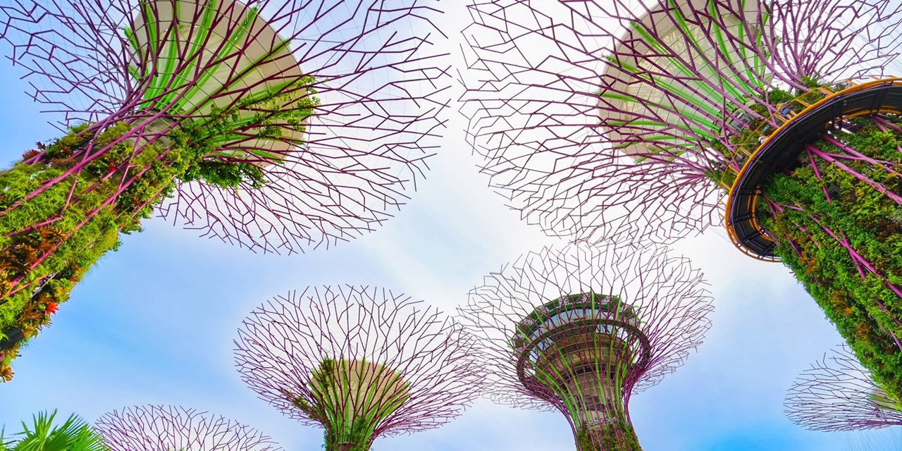Don't miss the Gardens by the Bay in Singapore, home to these stunning vertical gardens