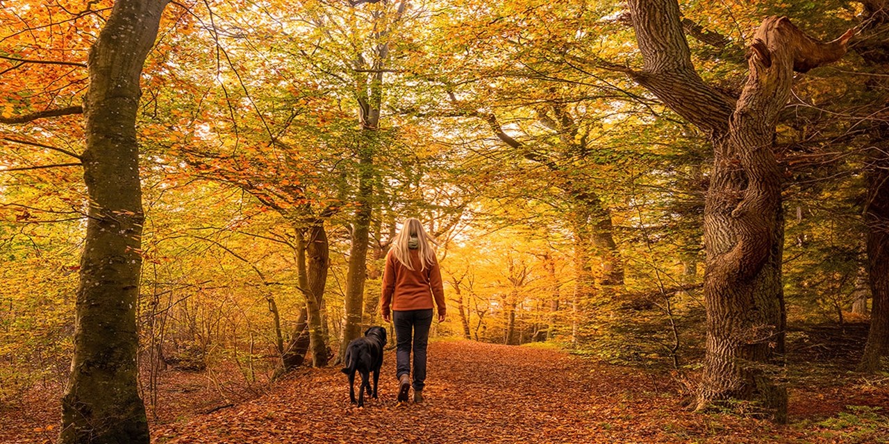 Save £61–£136 on 2-night stays in Hampshire