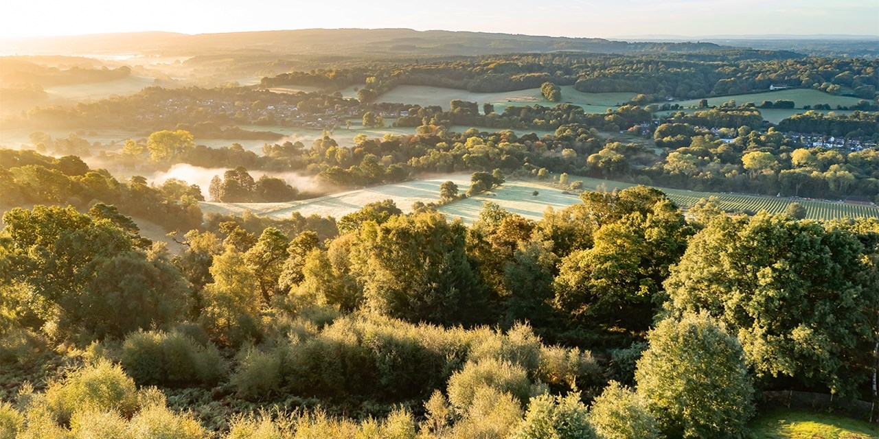 Explore the Surrey Hills National Landscape this summer and autumn