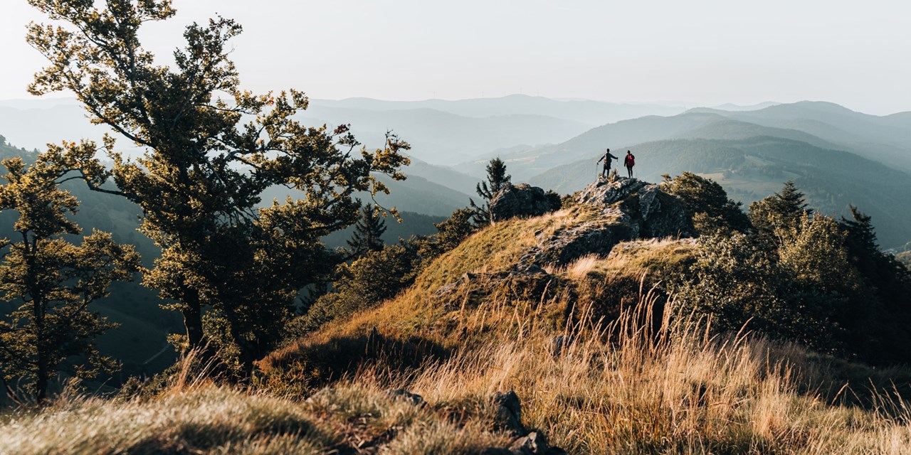 99 € p.P. -- 3 Tage im Südschwarzwald mit Dinner, -54%