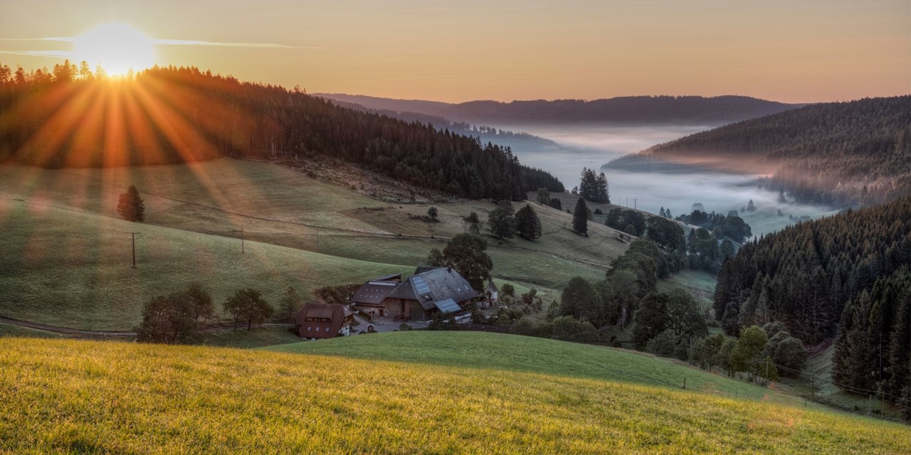 Vom Hotel Imbery aus haben Sie viele Möglichkeiten für Ausflüge, zum Beispiel zum Titisee | Travelzoo