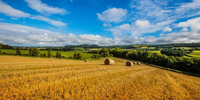 Travelzoo - 19 Deals 1 New