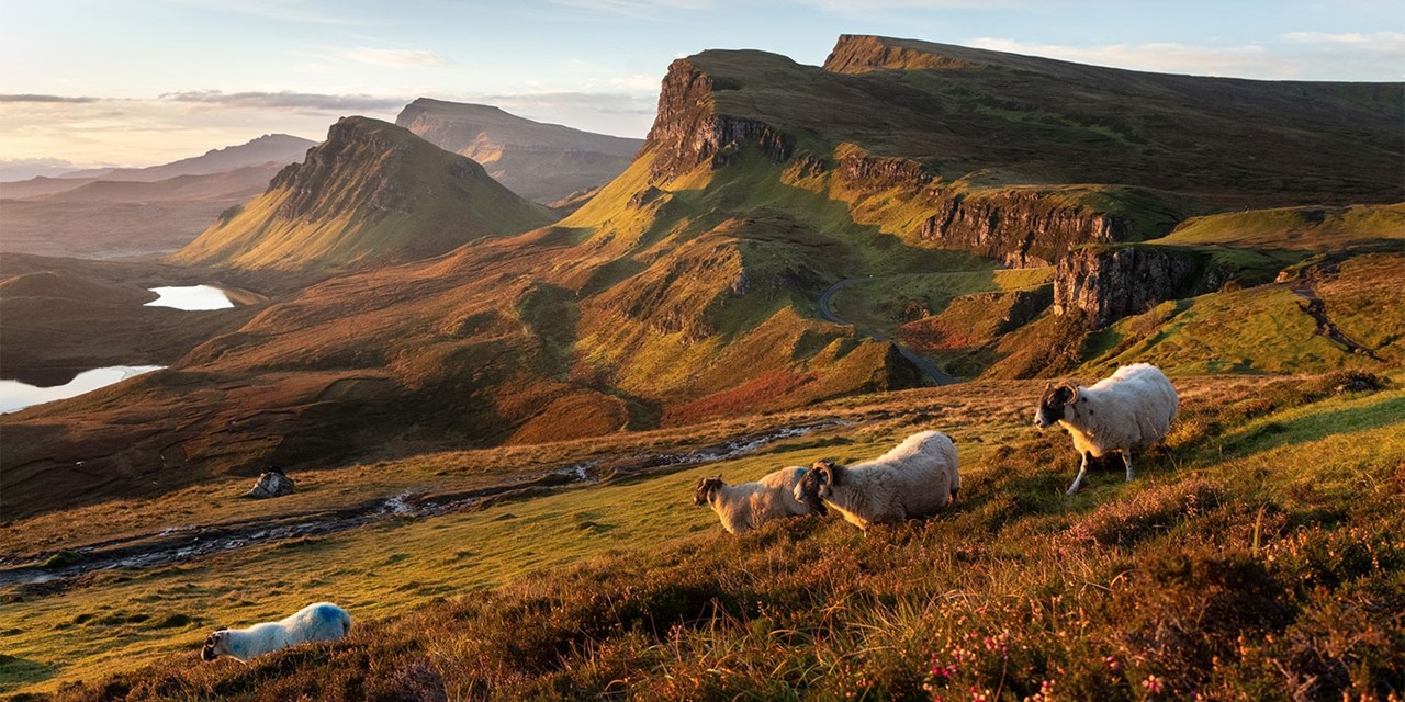 Scotland road trip incl. flights