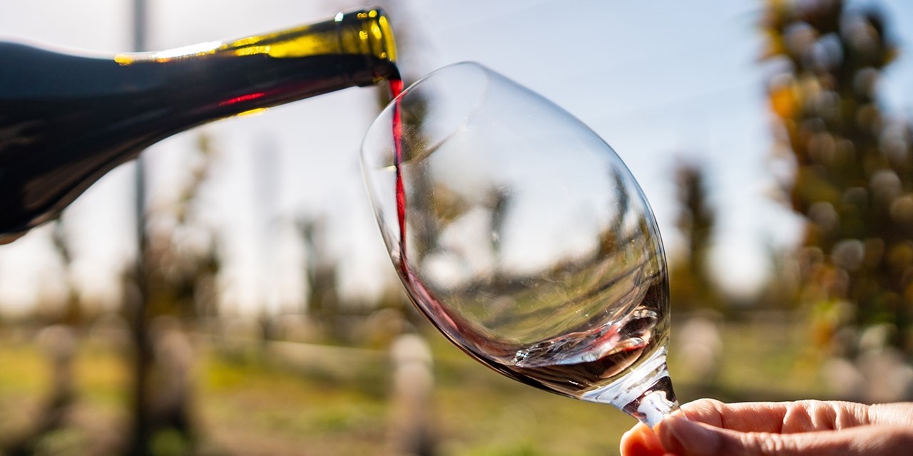 199€ -- 3j à 2 dans les vignobles du Douro, au lieu de 370€
