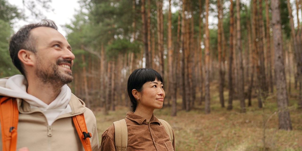 Save up to 50% on a New Forest mini break with this offer
