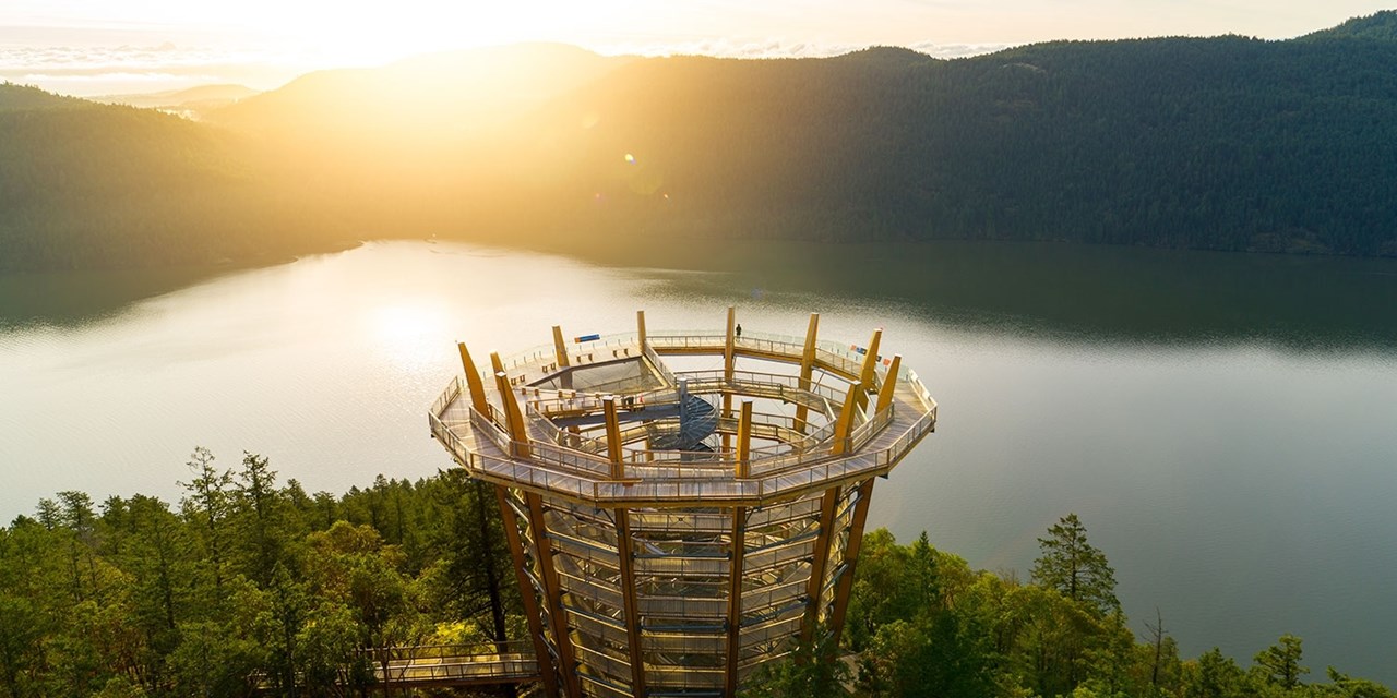 Malahat SkyWalk experience near Victoria