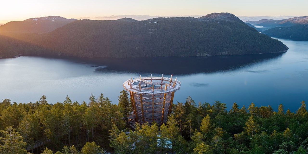 Malahat SkyWalk experience near Victoria