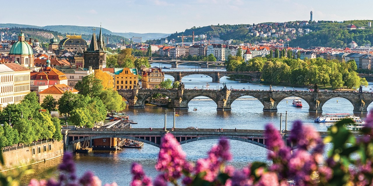 Enjoy Europe in bloom