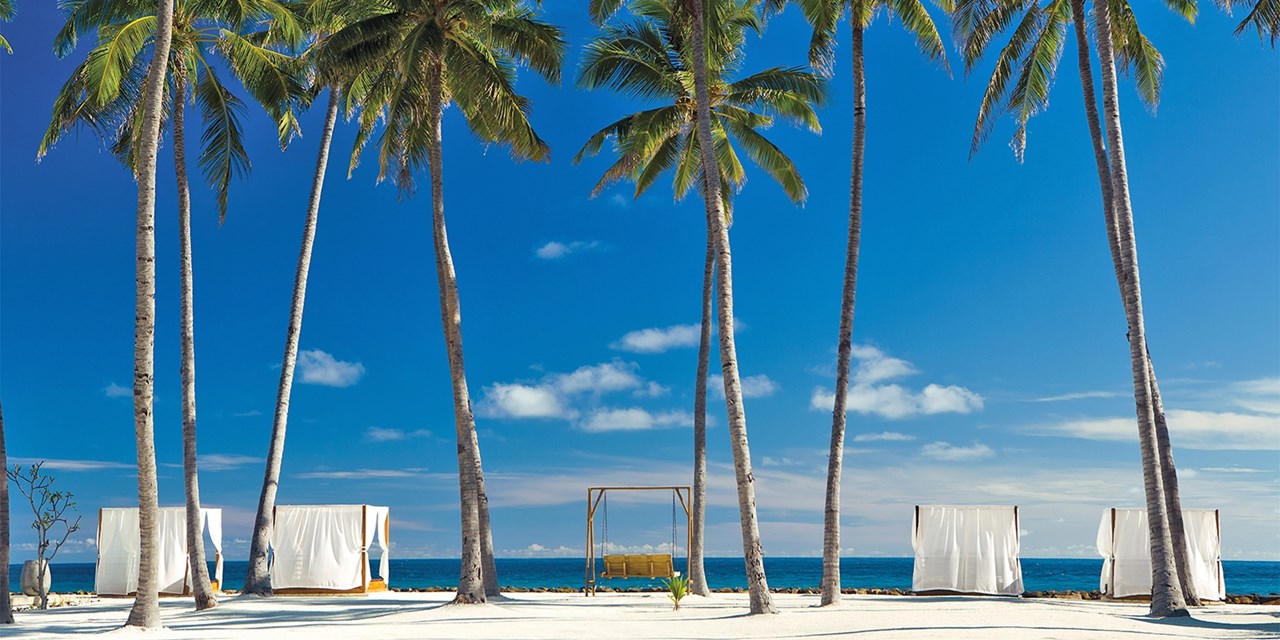 Unwind in private cabanas on the palm-lined beach