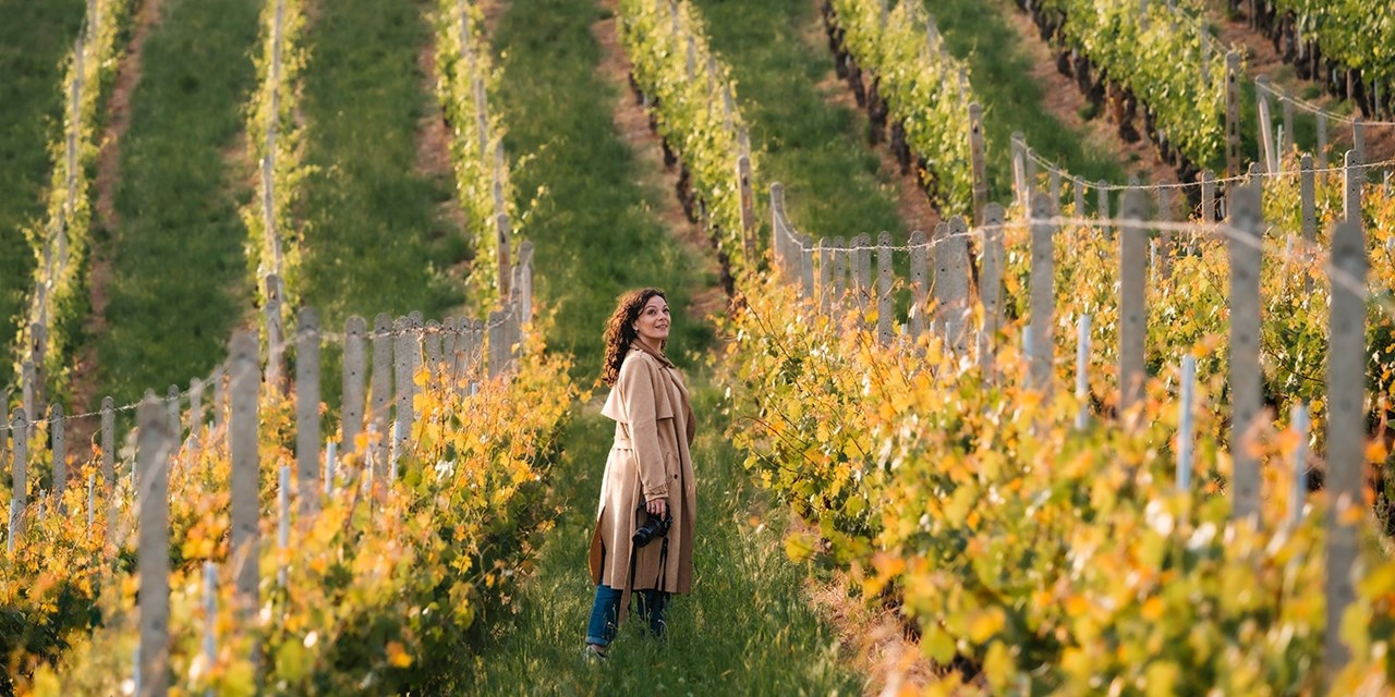 Take in vineyard-coloured hillsides on a riverside stroll