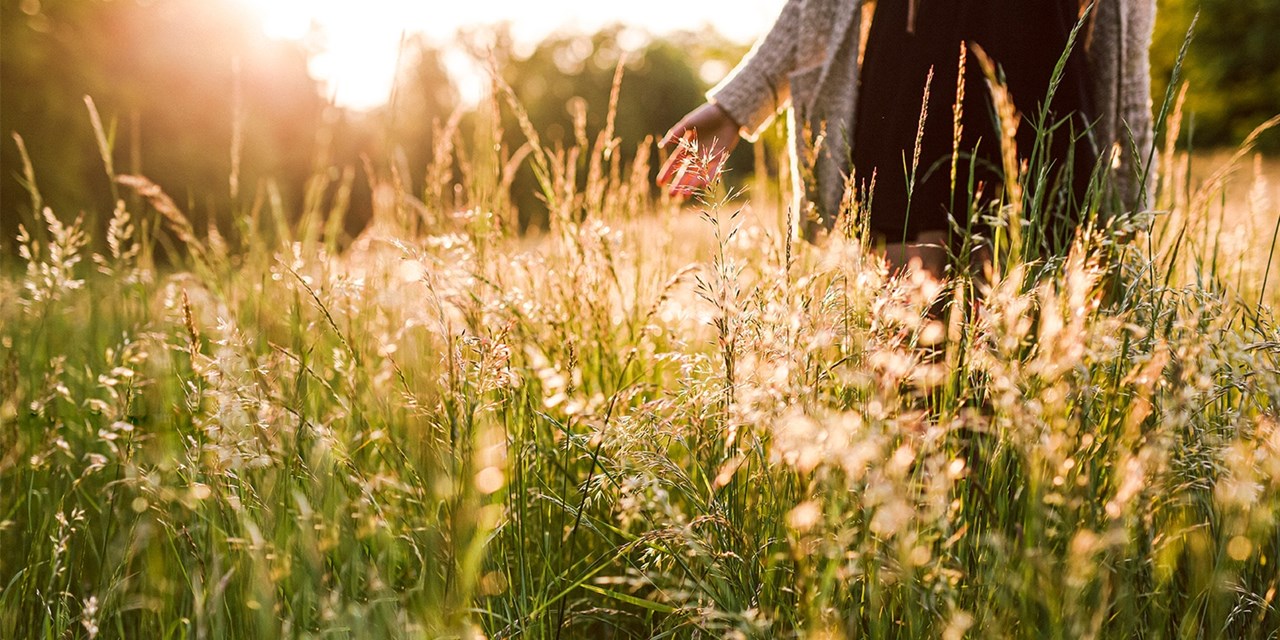 Save up to £105 on a summer and autumn stay in the Cotswolds