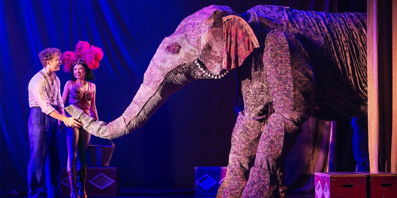 Follow a man as he turns to the circus in a moment of desperation