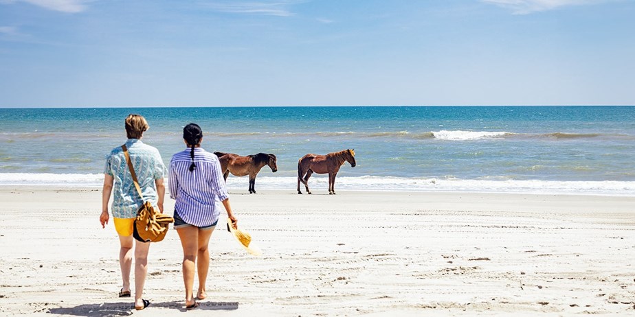 Hotels and Travel Deals in North Carolina at Travelzoo