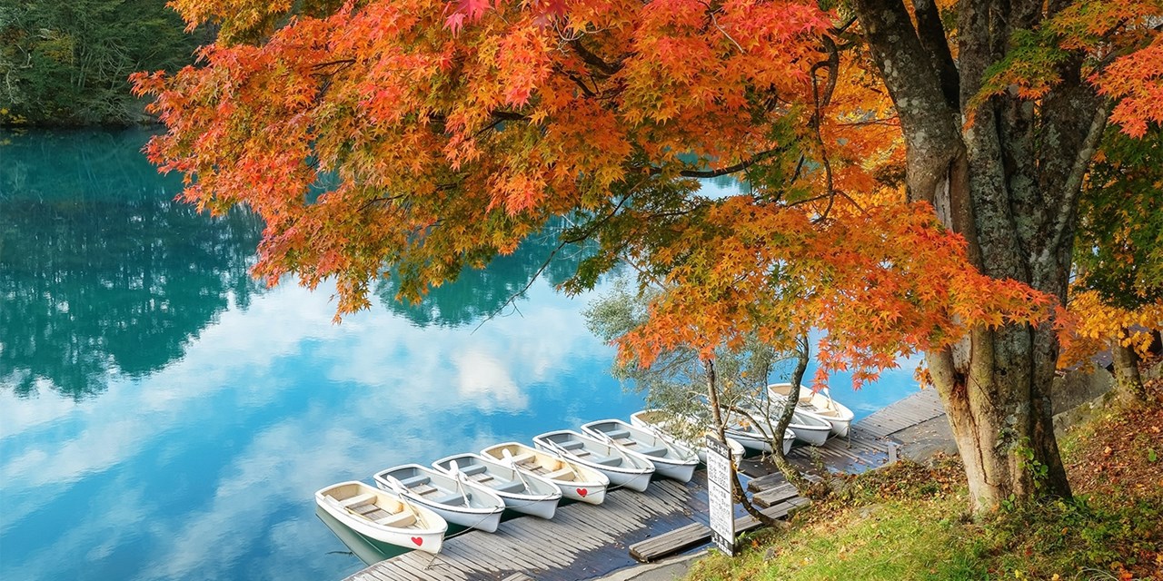 五色沼　観光イメージ　※紅葉の見頃は、例年10月下旬～11月上旬
