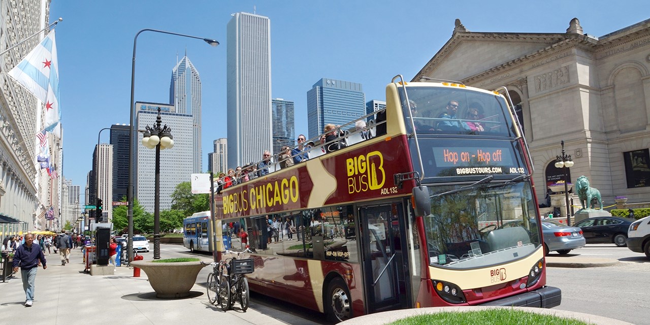 Take a hop-on, hop-off bus tour for flexible sightseeing
