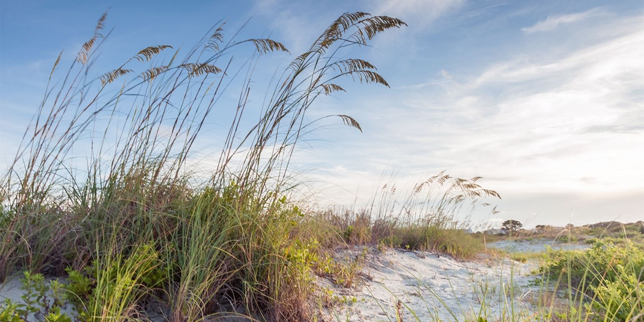 Stay 2 or more nights and save at beachside hotel
