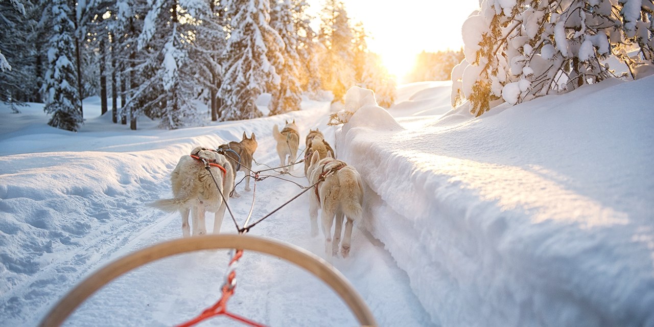 Schweden: Winterabenteuer in Lappland & Flug