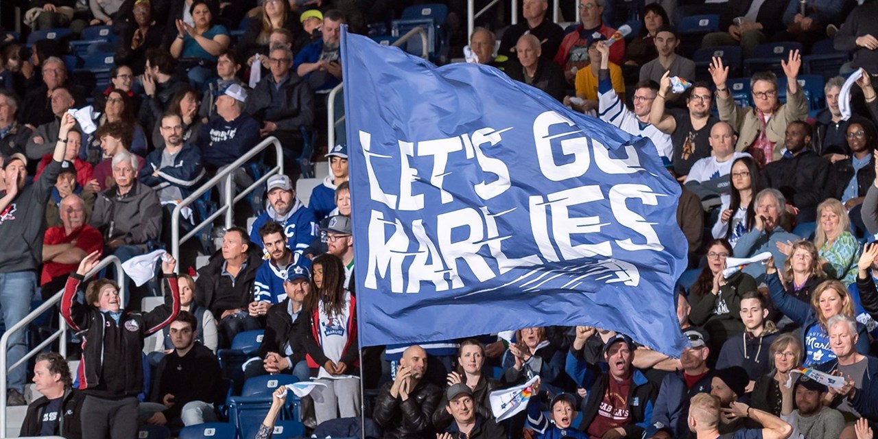 Wear your Marlies gear and show the team your support