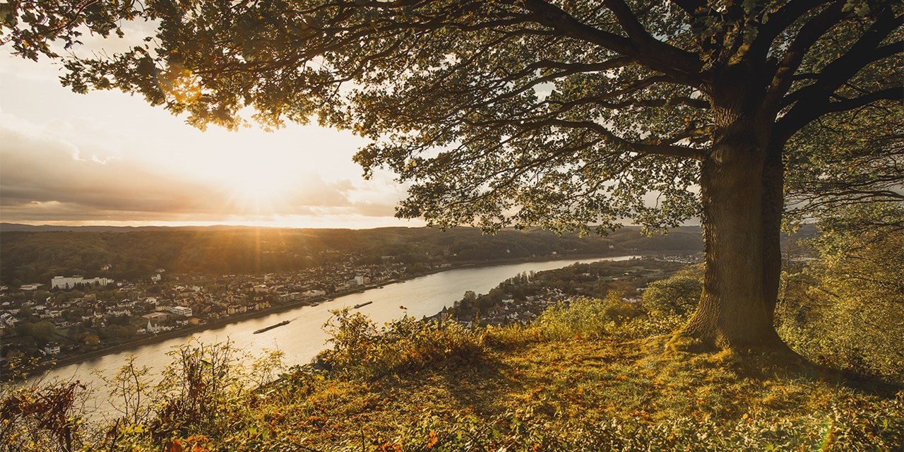 4-Sterne-Superior-Hotel am Rande des Naturparks Rheinland, einem der größten Schutzgebiete Nordrhein-Westfalens | Travelzoo