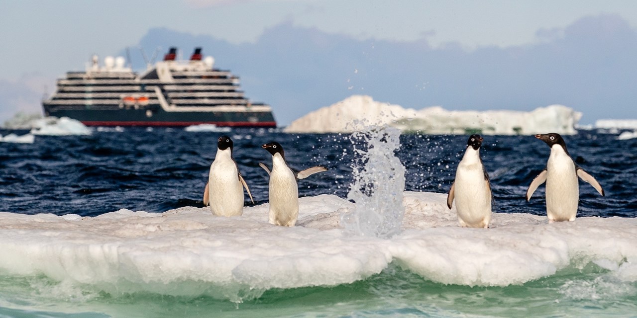 Save $6100 on Seabourn Antarctica fly-cruise-stay