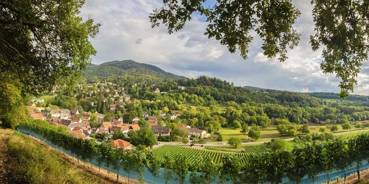 Badenweiler zählt zu den traditionsreichsten Kurorten Deutschlands | Travelzoo