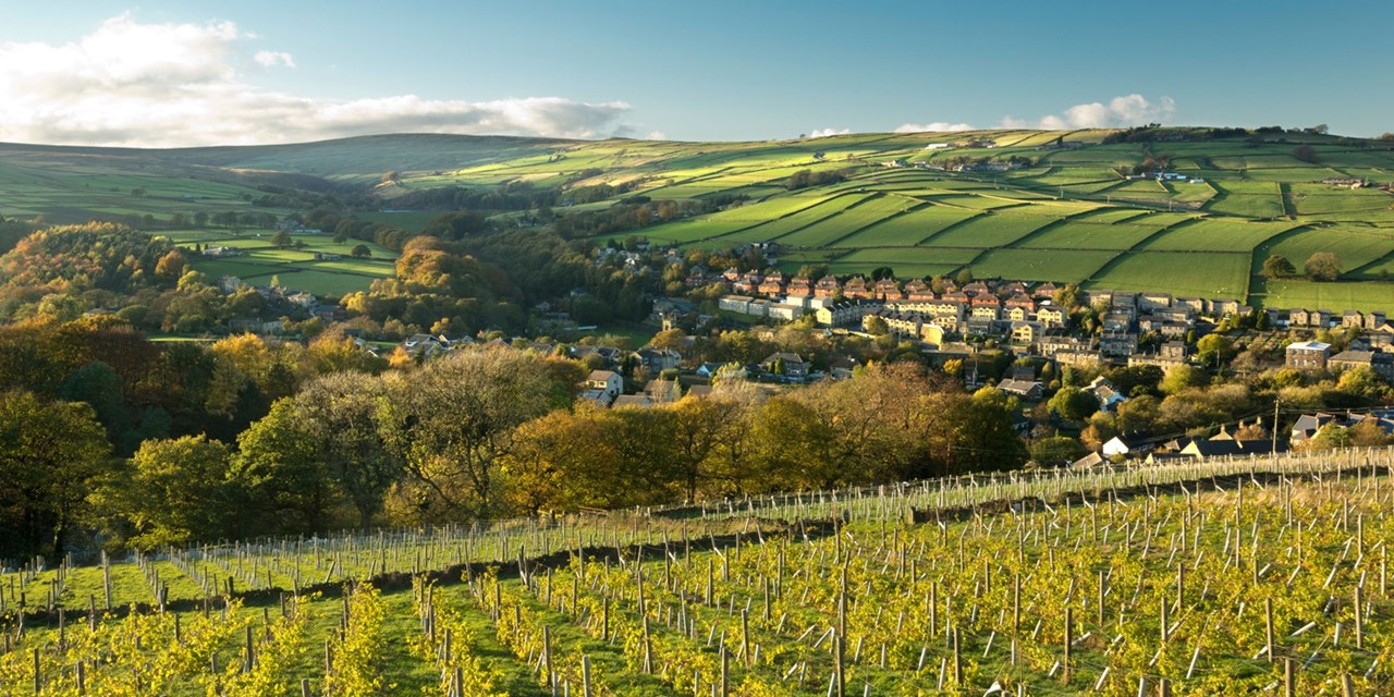 Holmfirth Vineyard