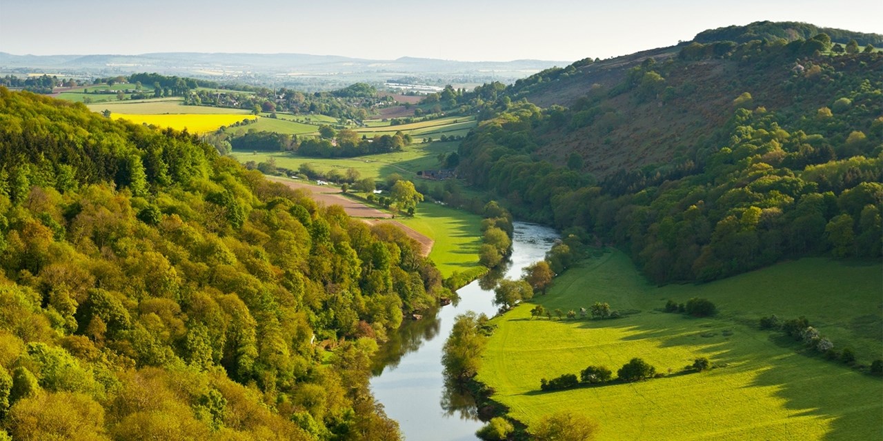 Symonds Yat Rock has views of the River Wye and both sides of the valley