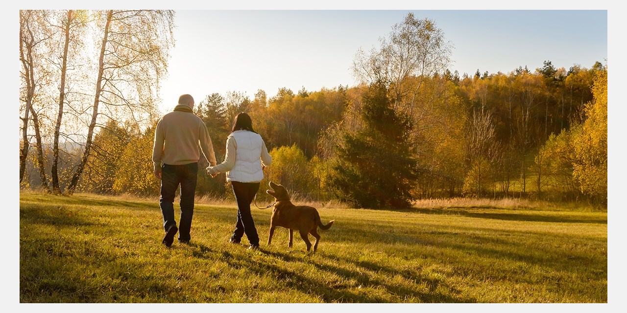 One dog stays free, including treats and a water bowl