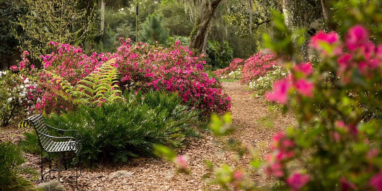 Admire flowers scattered throughout the gardens