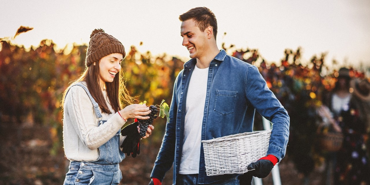 Visit Niagara-on-the-Lake, home to some of the oldest wine-producing vineyards in the country
