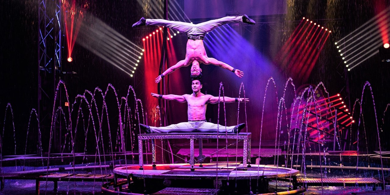 Performers will dazzle you with their stunts